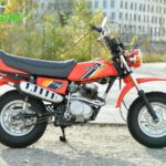 Honda CY50-BJ1987-01